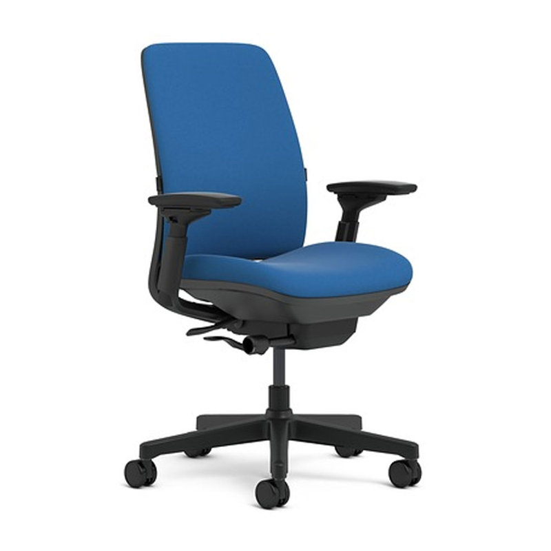 Steelcase Amia Ergonomic Task Chair & Reviews Wayfair